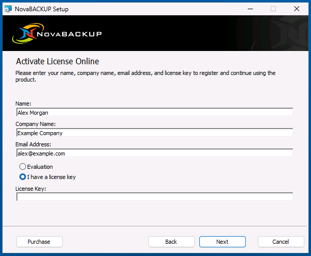 Activate License Online page with I have a license key selected